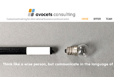 Avocets Consulting